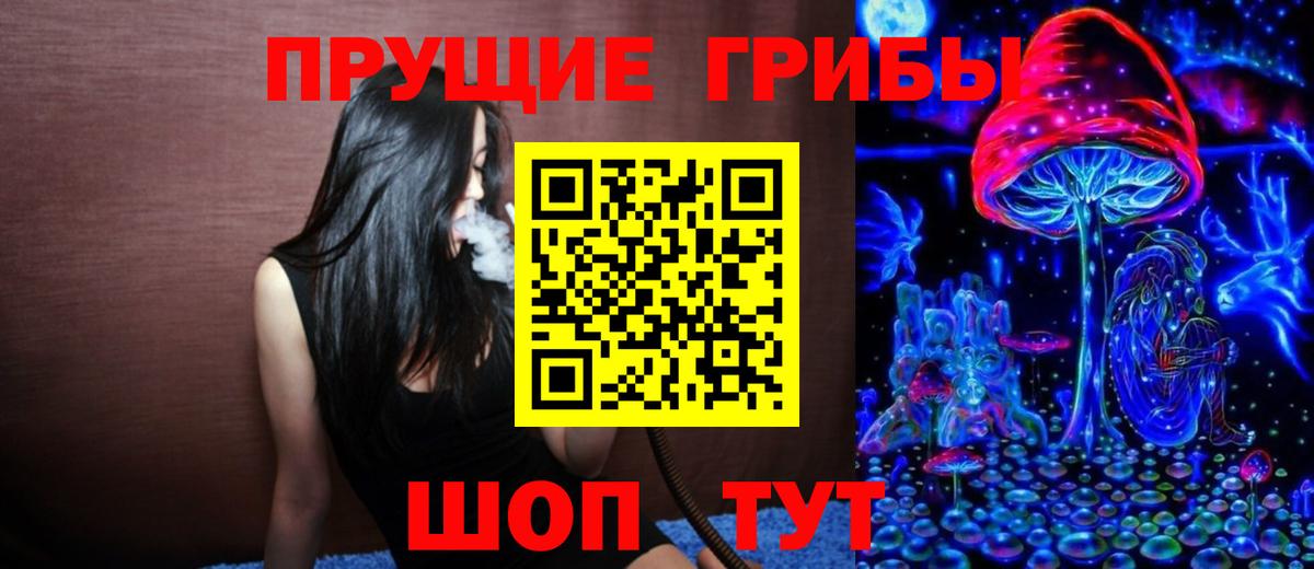 Санкт-Петербург  наркотики  Вход с VPN  Псилоцибиновые грибы Psilocybe 
